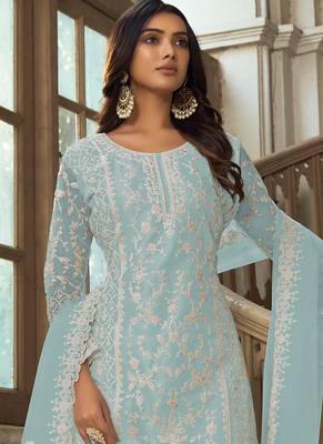 Sky Blue Premium Net Embroidered Traditional Palazzo Suit 2