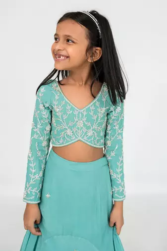 Blue fit and flare lehenga set