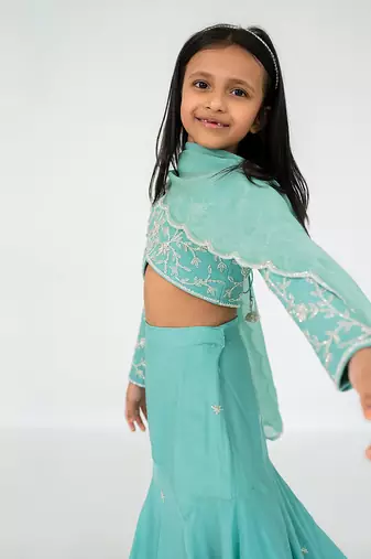 Blue fit and flare lehenga set