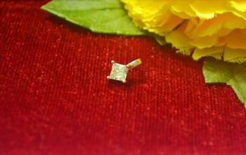 Sizzling gold floral diamond nose accessory clipon nosering or nosepin 1