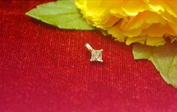 Sizzling gold floral diamond nose accessory clipon nosering or nosepin 3