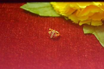 Sizzling gold floral diamond nose accessory clipon nosering or nosepin 2