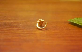 Sizzling gold floral diamond nose accessory clipon nosering or nosepin 2