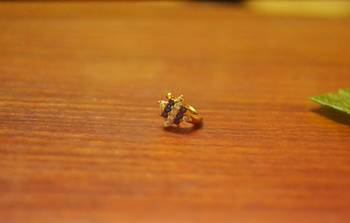 Sizzling gold floral diamond nose accessory clipon nosering or nosepin 3