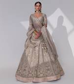 Aiyana Embroidered Lehenga Set