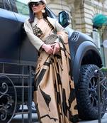 Chiku Satin Crepe  Digital Printed Work Saree With Blouse