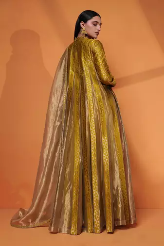 Layana pleated anarkali gown