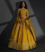 Sameena Mustard Lehenga Set