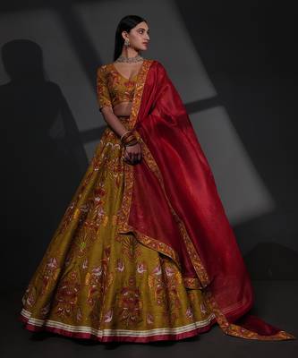 Gulshan Multicolour Lehenga Set 2