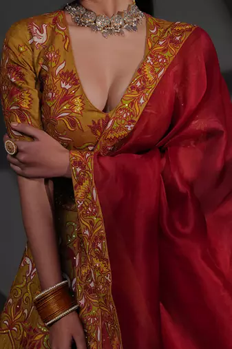 Gulshan Multicolour Lehenga Set