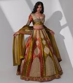 Malaya Multicolour Lehenga Set