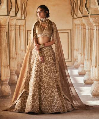 Rimona Brown Lehenga Set 1