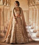 Rimona Brown Lehenga Set