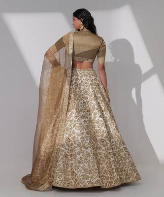 Rimona Brown Lehenga Set 2