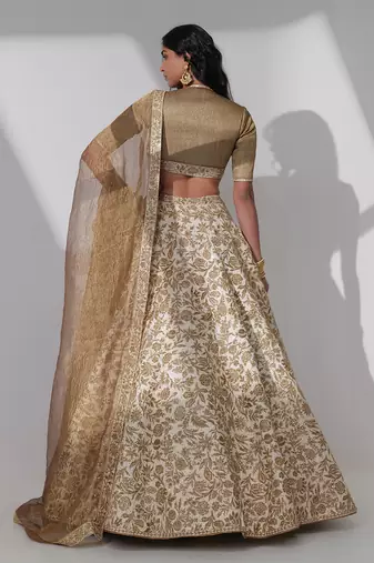 Rimona Brown Lehenga Set