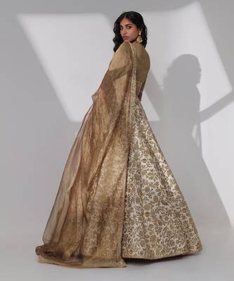 Rimona Brown Lehenga Set 3