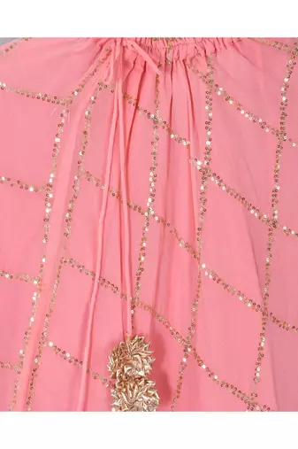 Peach sequence lehenga set