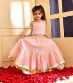 Powder pink chanderi lehenga set