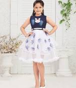 Aarika girls party wear navy blue colour self design net and denim frock