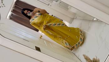 ORGNZA DUSKY SAREE 2
