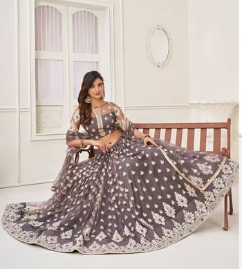 Grey Heavy Embroidery Net Semi Stitch A Line Lehenga With Blouse 4