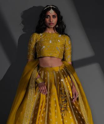 Sameena Mustard Blouse 1