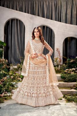 Brown Net Lehenga Choli With Embroidered Work 1