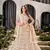 Brown Net Lehenga Choli With Embroidered Work