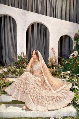 Brown Net Lehenga Choli With Embroidered Work 4