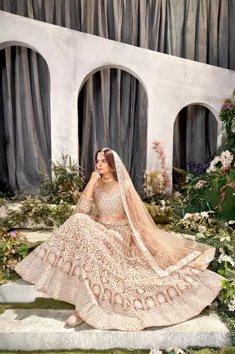 Brown Net Lehenga Choli With Embroidered Work
