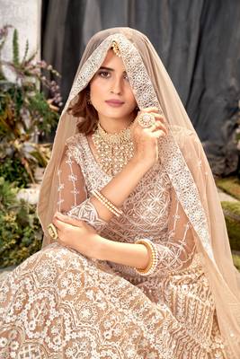 Brown Net Lehenga Choli With Embroidered Work 5