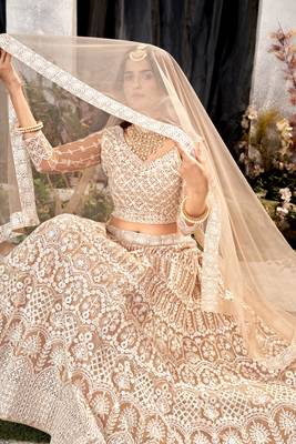Brown Net Lehenga Choli With Embroidered Work 6