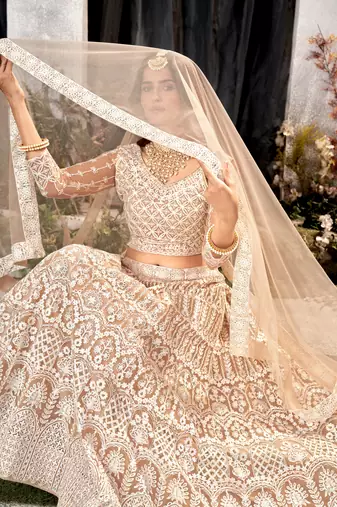 Brown Net Lehenga Choli With Embroidered Work
