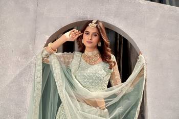 Pista Net Lehenga Choli With Embroidered Work 6