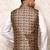 Ranak Multicolour Art Silk Nehru Jacket