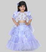 Blue embroidered lehenga set