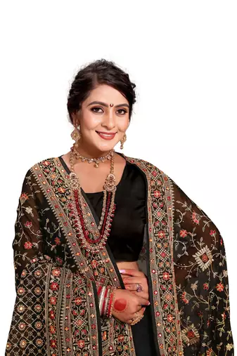 Black heavy kashmiri resham embroidery georgette saree