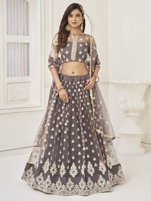 grey embroidered net lehenga set choli with dupatta with dupatta 2
