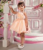 Peach viscose organza dress