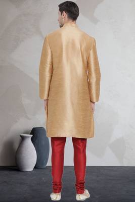 Beige art dupion silk mens plain kurta pajama 4