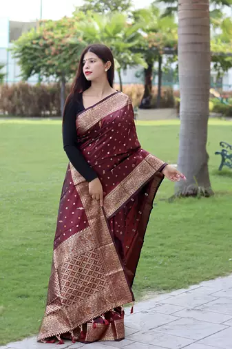 Silk Blend Saree With Copper And Golden Zari Weaved Border And Rich Pallu 