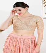 Off White Embroidered Saree Blouse