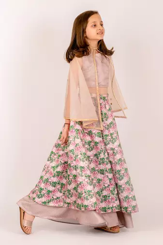 Brown dull satin & organza  lehenga set