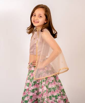 Brown dull satin & organza  lehenga set 3