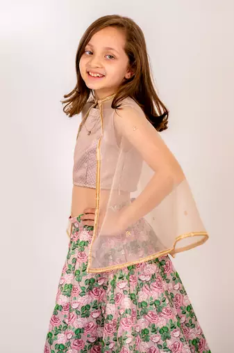 Brown dull satin & organza  lehenga set