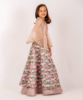 Brown dull satin & organza  lehenga set 4