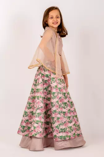Brown dull satin & organza  lehenga set