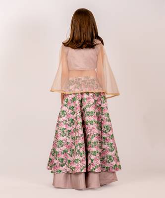 Brown dull satin & organza  lehenga set 5