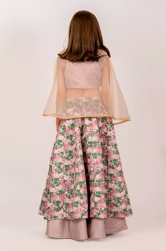 Brown dull satin & organza  lehenga set