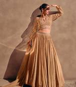 Chikoo color embroidered chinon silk lehenga choli